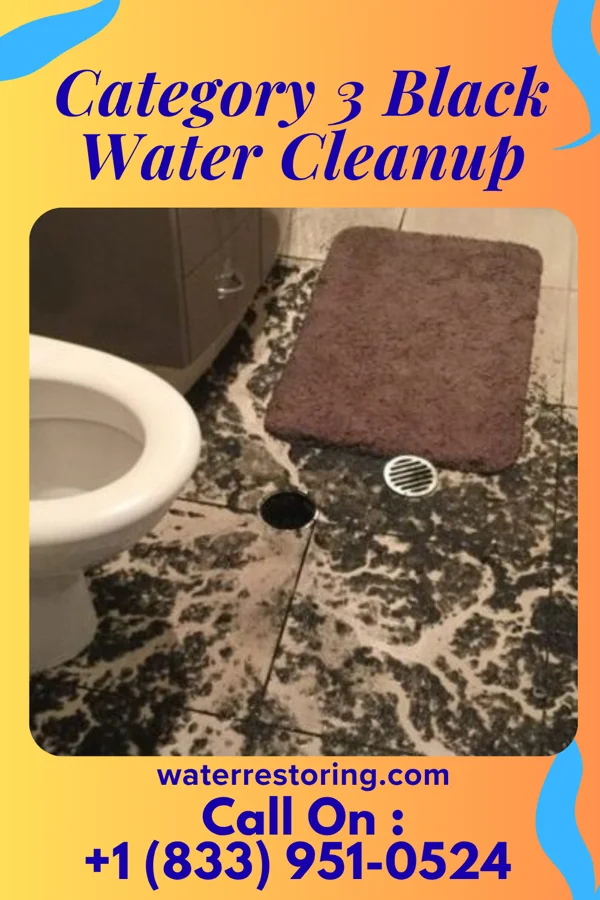 Category 3 Black Water Cleanup in Struthers, OH