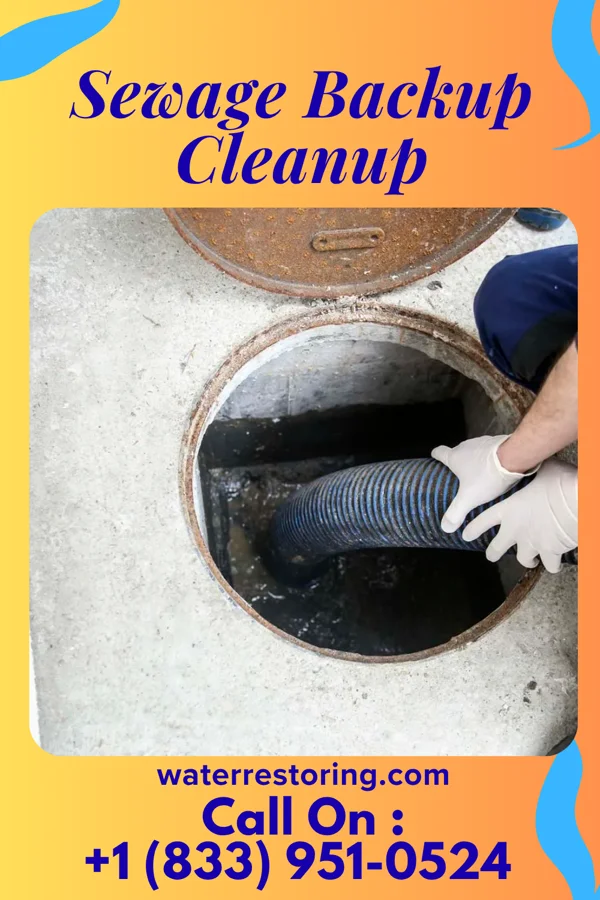 Sewage Backup Cleanup in Struthers, OH