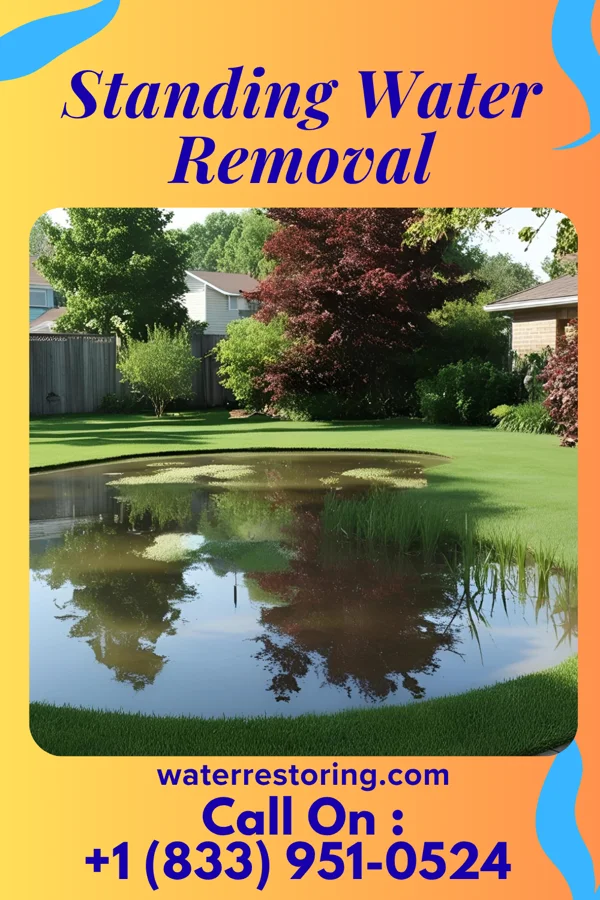 Standing Water Removal in Struthers, OH